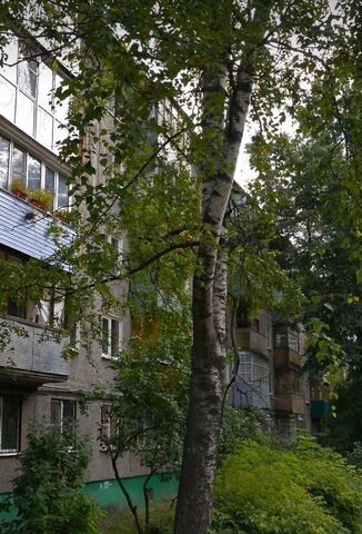 квартира Кировская ул Юлиуса Фучика 29 фото
