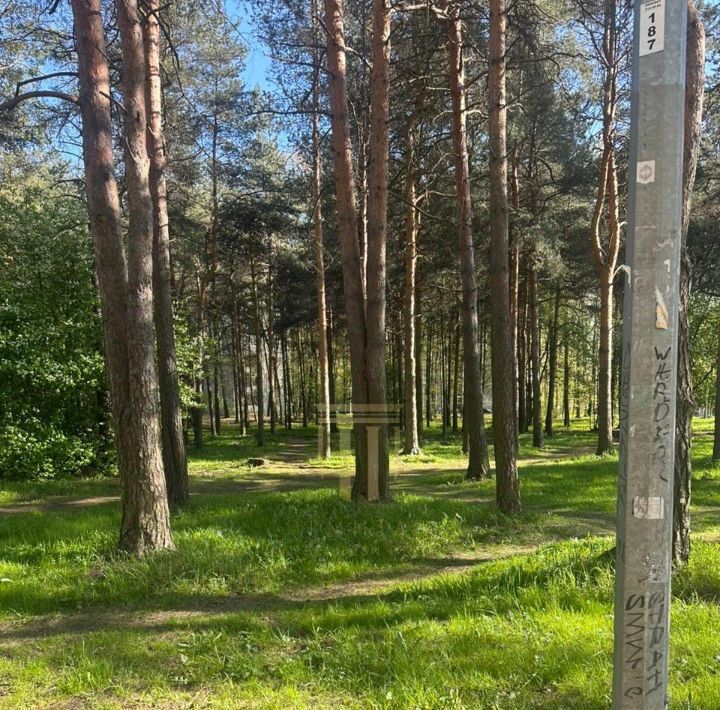 квартира г Санкт-Петербург метро Академическая ул Карпинского 11к/1 фото 16