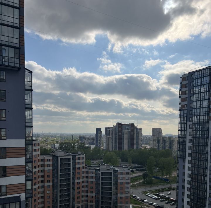 квартира г Санкт-Петербург метро Лесная ул Богословская 6к/2 фото 35