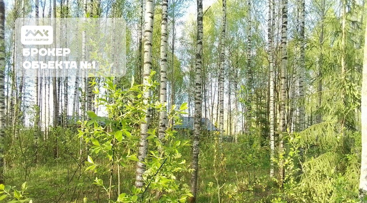 земля р-н Всеволожский г Всеволожск ул Новая 32 фото 21