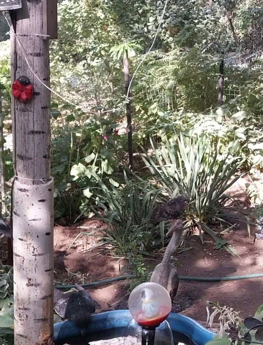 квартира г Волгоград р-н Ворошиловский ул им. Лавочкина 12 фото 13