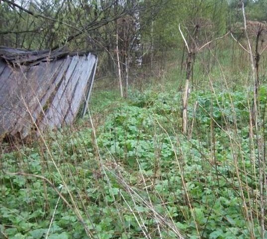 р-н Володарский тер СО Снежка 166 фото