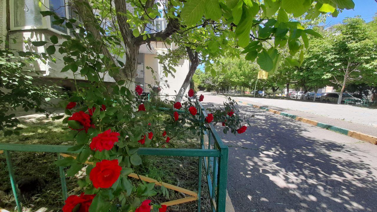 квартира г Новороссийск р-н Центральный ул Глухова 20 8-й микрорайон фото 27