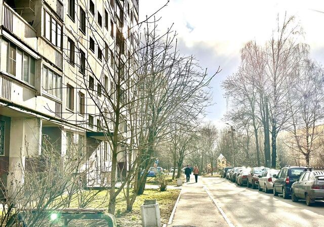 метро Международная ул Будапештская 4 фото