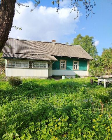 д Грудинино Починок фото
