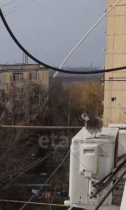 квартира г Батайск ул Октябрьская 120 фото 16