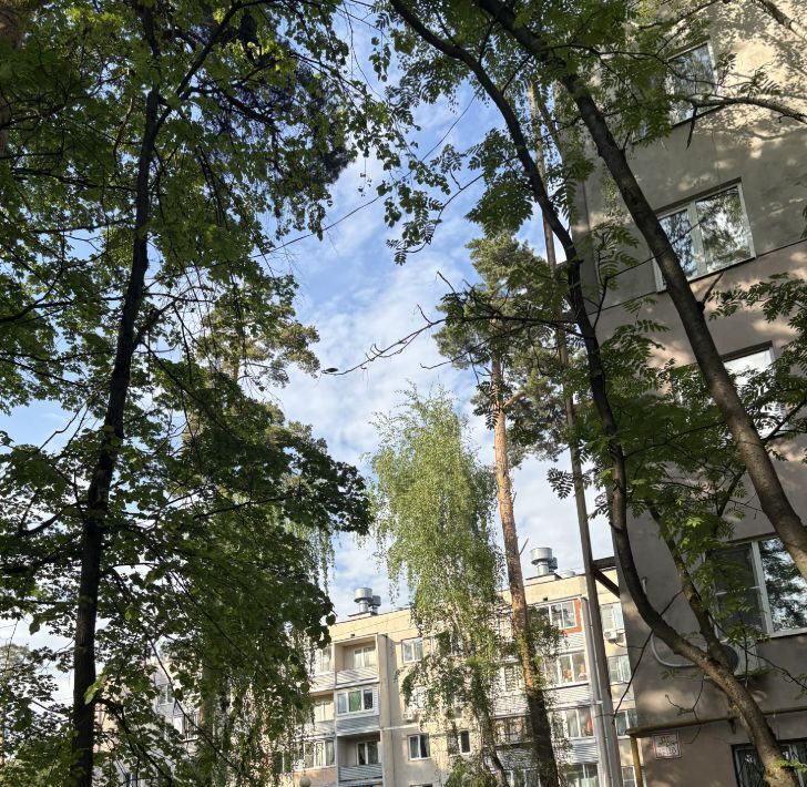квартира г Красногорск Павшино ул Пионерская 18 фото 18