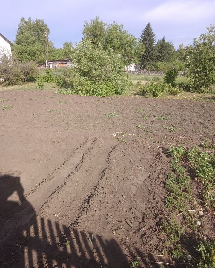 дом г Славгород с Знаменка ул Лесная Благовещенка фото 5