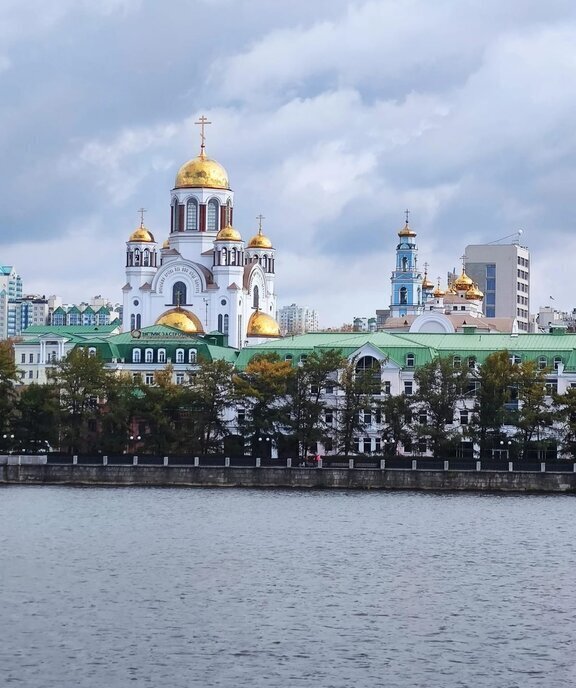 дом г Ревда ул Деревообделочников 46 фото 12
