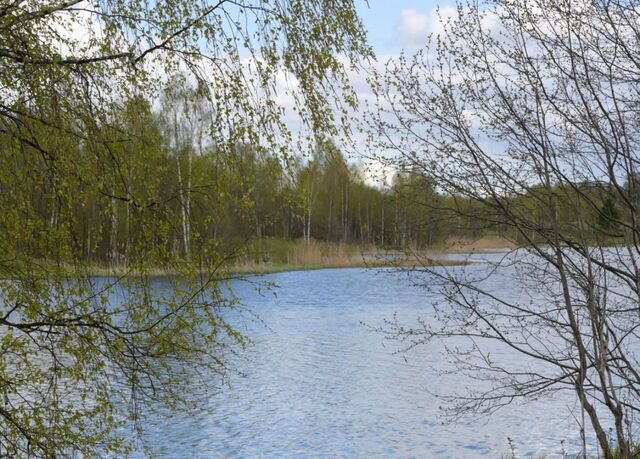 113 км, д. Вороново, Минское шоссе фото