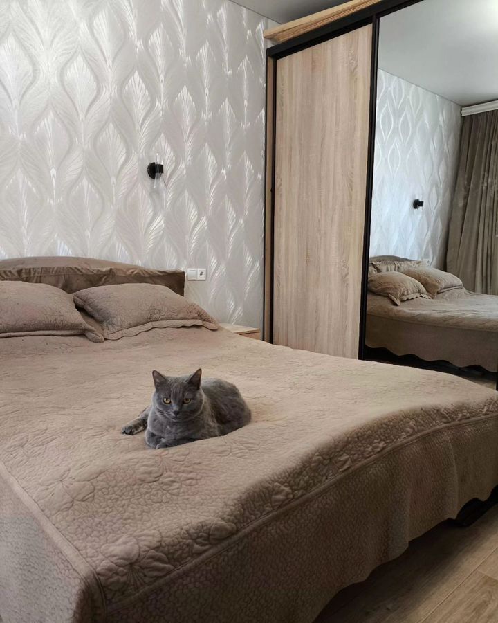 квартира г Курск р-н Центральный ул Косухина 5 фото 6