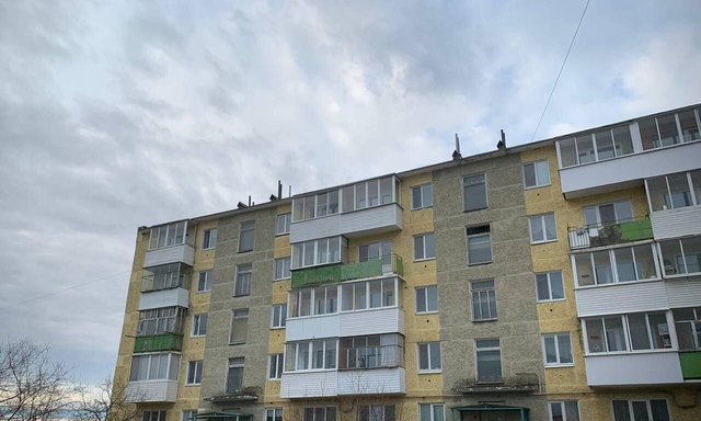 дом 10 фото