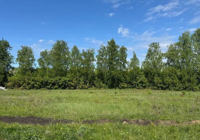 54 км, Новокаширское шоссе фото