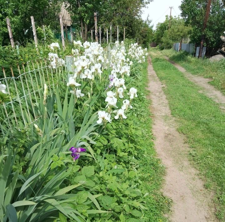 дом г Волгоград р-н Кировский ул Вишневая фото 1