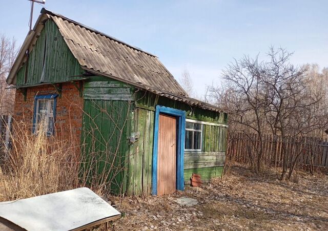 Кемеровская обл. — Кузбасс, СОНТ Родник, Юрга фото