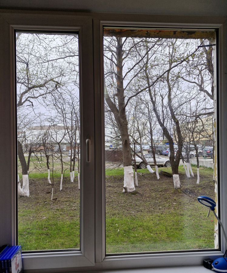 квартира г Петропавловск-Камчатский ул Тушканова 12/1 фото 7