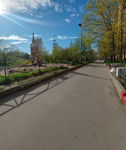 метро Ладожская ул Передовиков 33к/1 фото