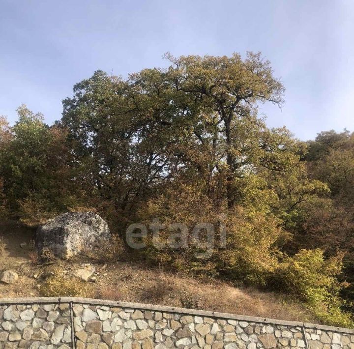 земля г Алушта с Нижняя Кутузовка пер. Южный, 47Г фото 4