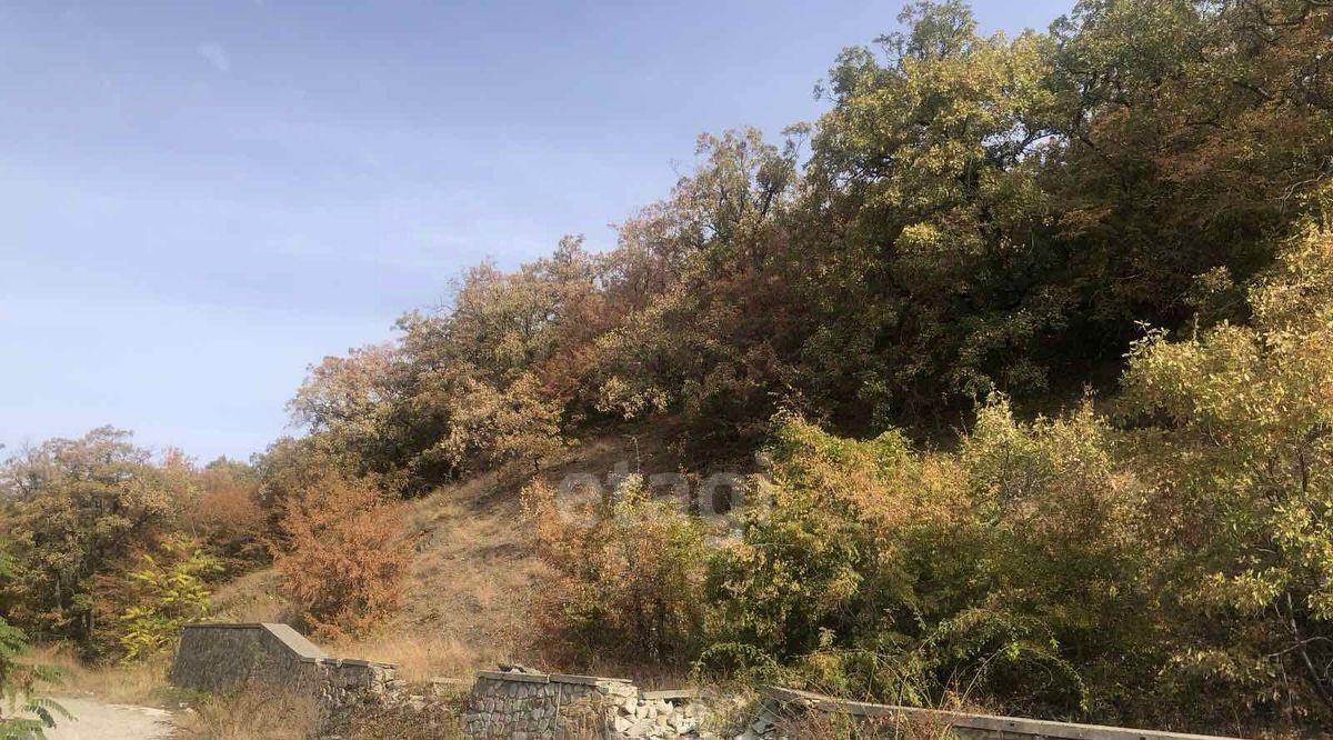 земля г Алушта с Нижняя Кутузовка пер. Южный, 47Г фото 6