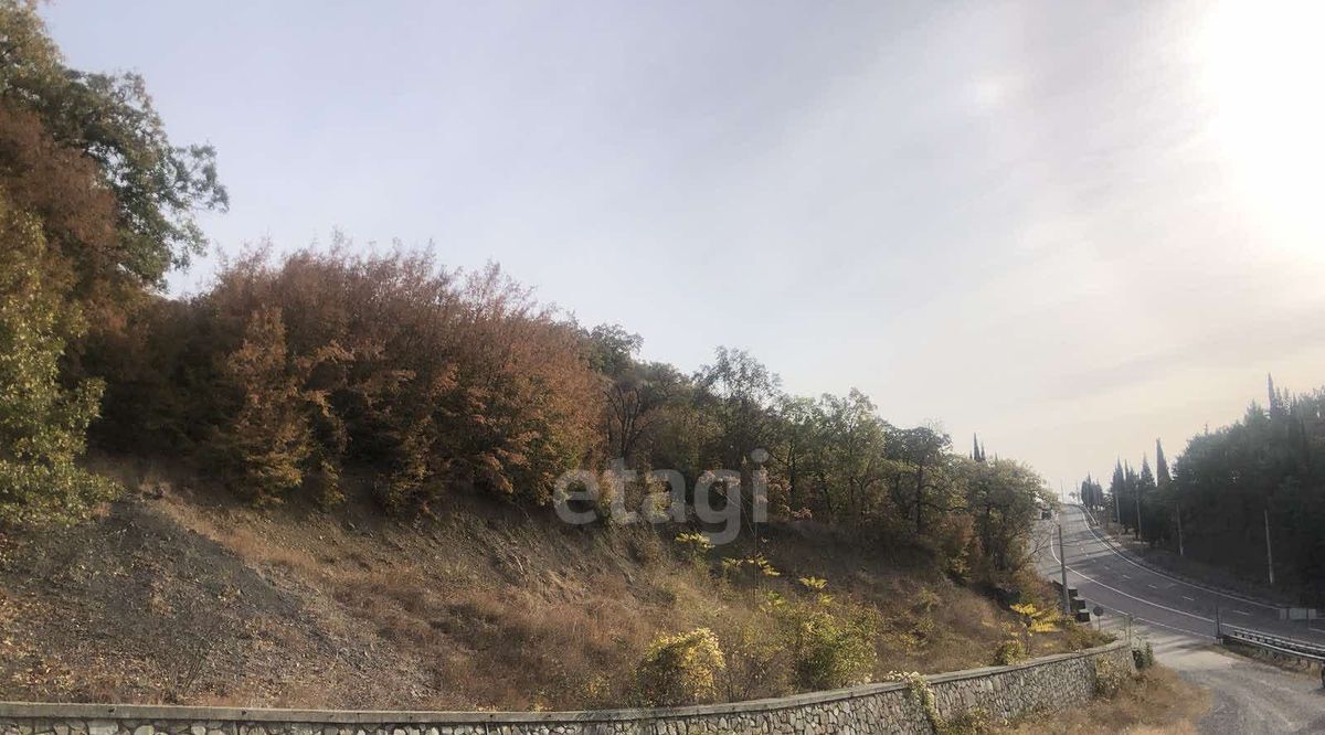 земля г Алушта с Нижняя Кутузовка пер. Южный, 47В фото 7