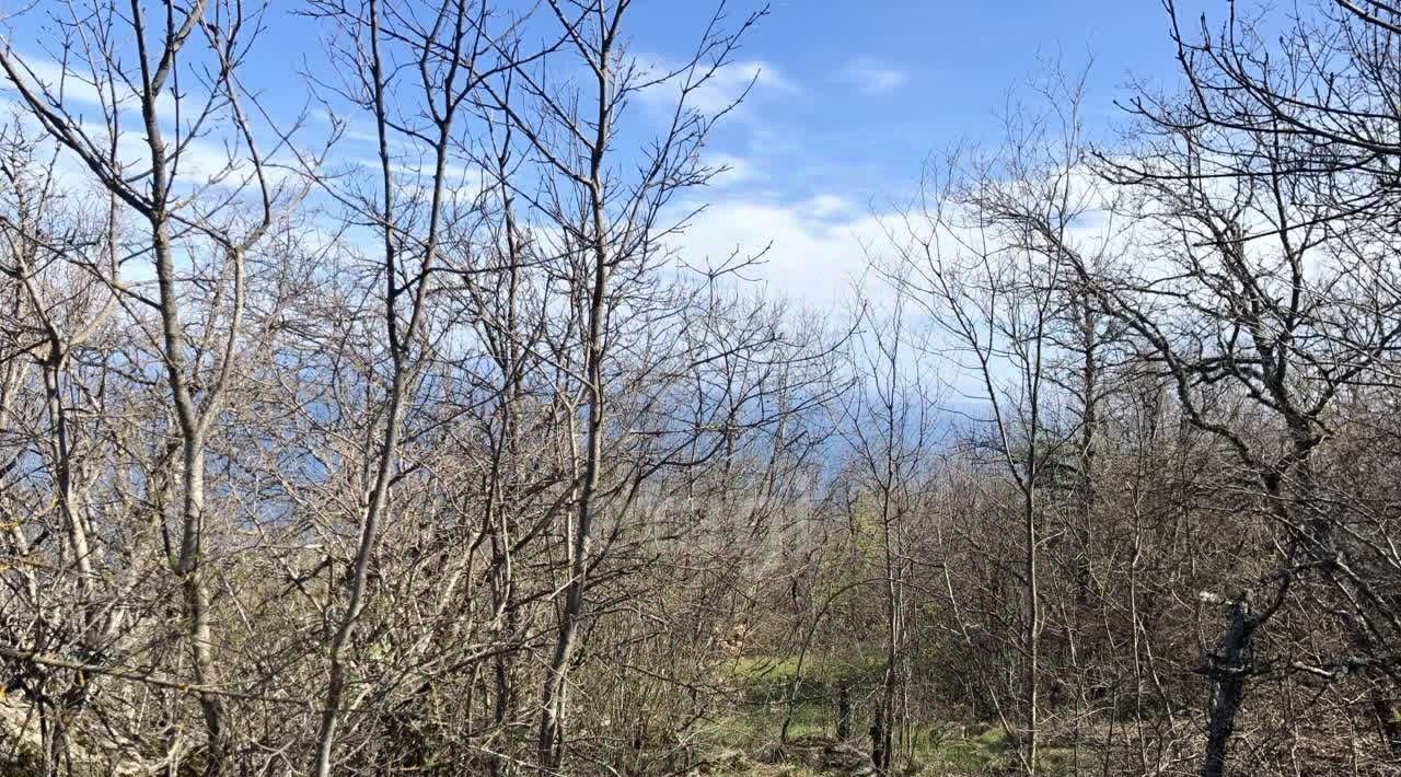 земля г Алушта с Малый Маяк ул Скалистая фото 19