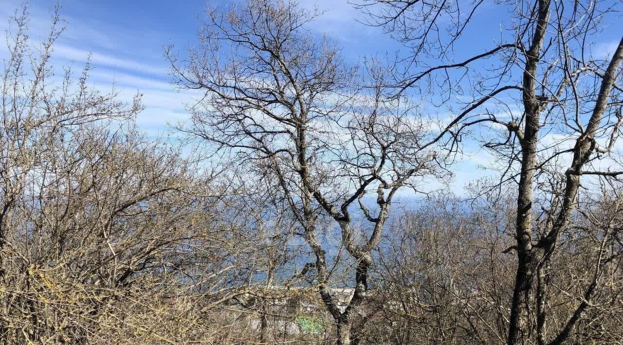 земля г Алушта с Малый Маяк ул Скалистая фото 12