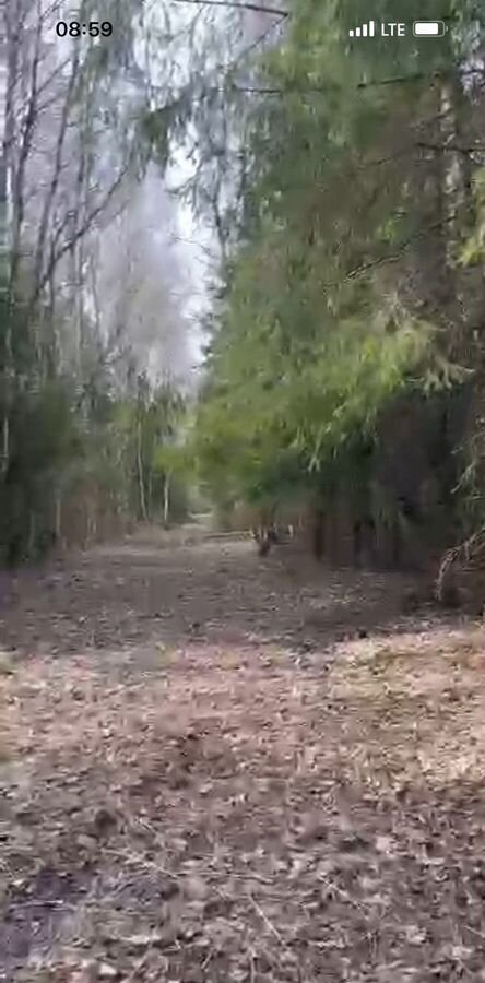 земля городской округ Сергиево-Посадский г Краснозаводск 67 км, Поперечная ул, ТСН Никульское, Ярославское шоссе фото 14