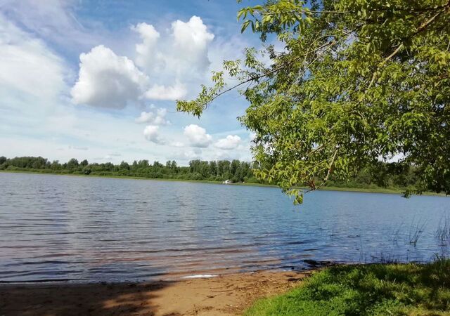 39 км, д. Новая, г. о. Солнечногорск, Пятницкое шоссе фото