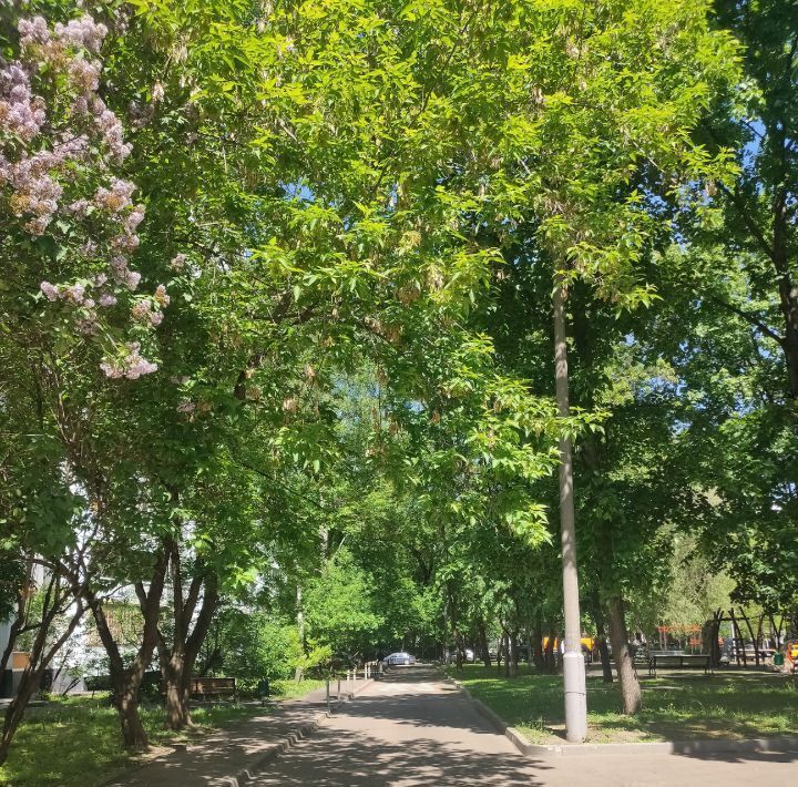 квартира г Москва метро Преображенская площадь ул Знаменская 38к/1 фото 2