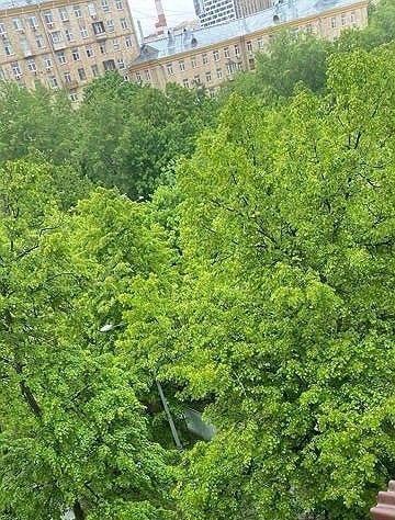 квартира г Москва метро Полежаевская ул Куусинена 7к/2 фото 6