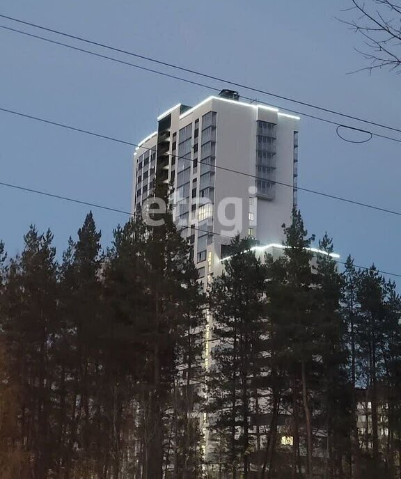 квартира г Воронеж ул 9 Января 233/40 фото 1