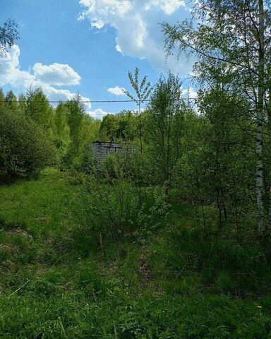Ярославское шоссе, 7 км, муниципальное образование Следневское, Александров фото