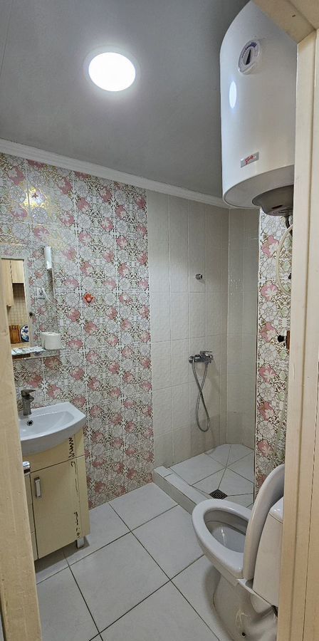 дом г Алушта ул Ежевичная 10 фото 30