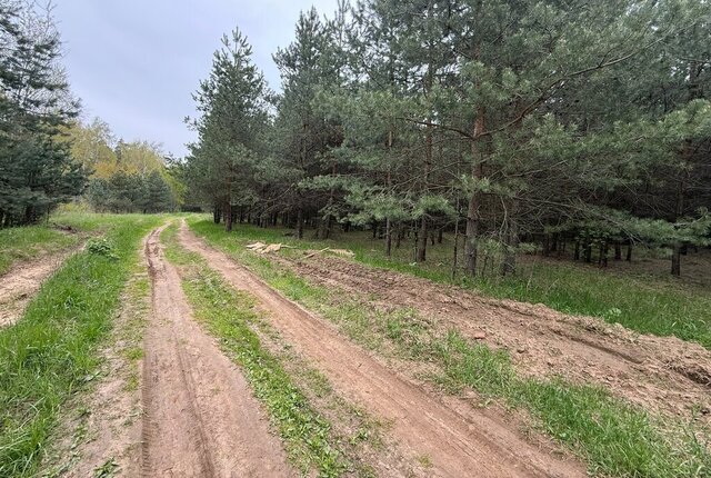ул Березовая Отдых фото