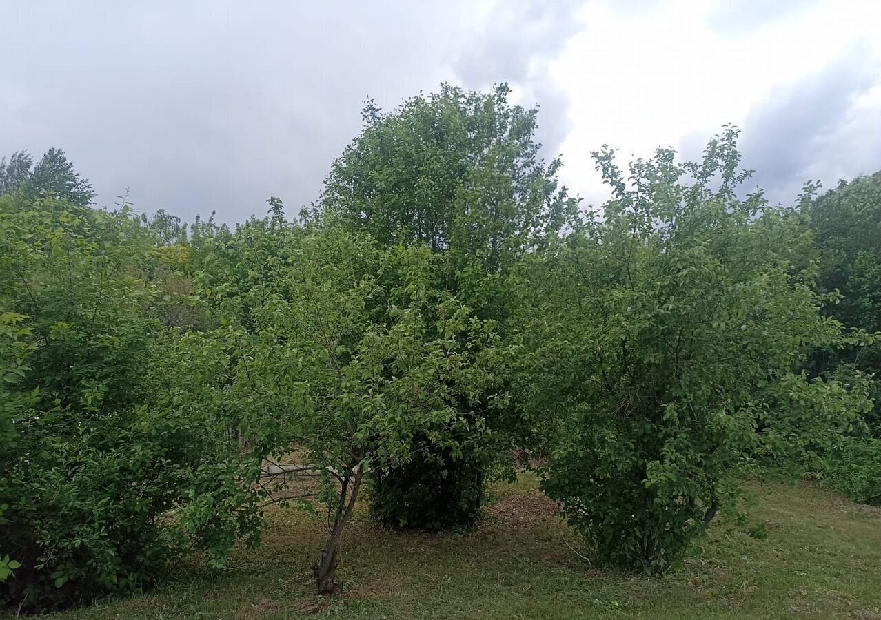 земля г Барнаул рп Южный р-н Центральный снт Рассвет 485 фото 6