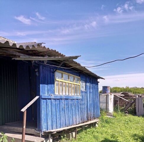 с Беломестное ул Нижняя 32 фото
