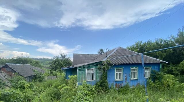 с Васильдол ул Нижняя фото