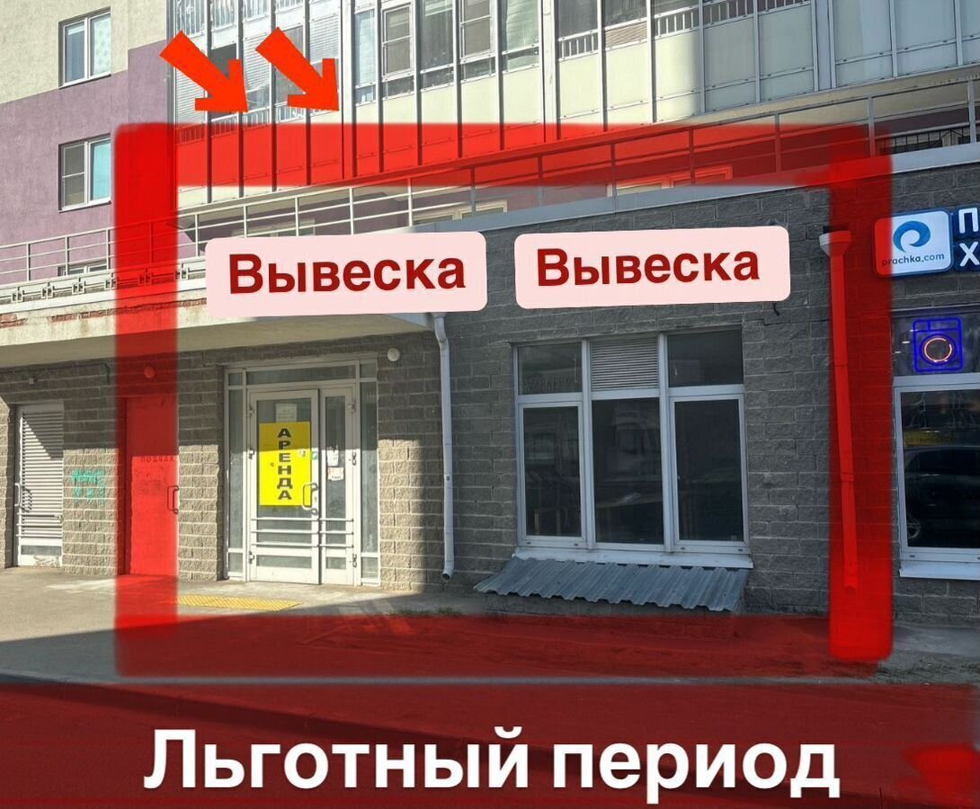 свободного назначения р-н Всеволожский г Мурино ул Екатерининская 10 Девяткино, Муринское городское поселение фото 2