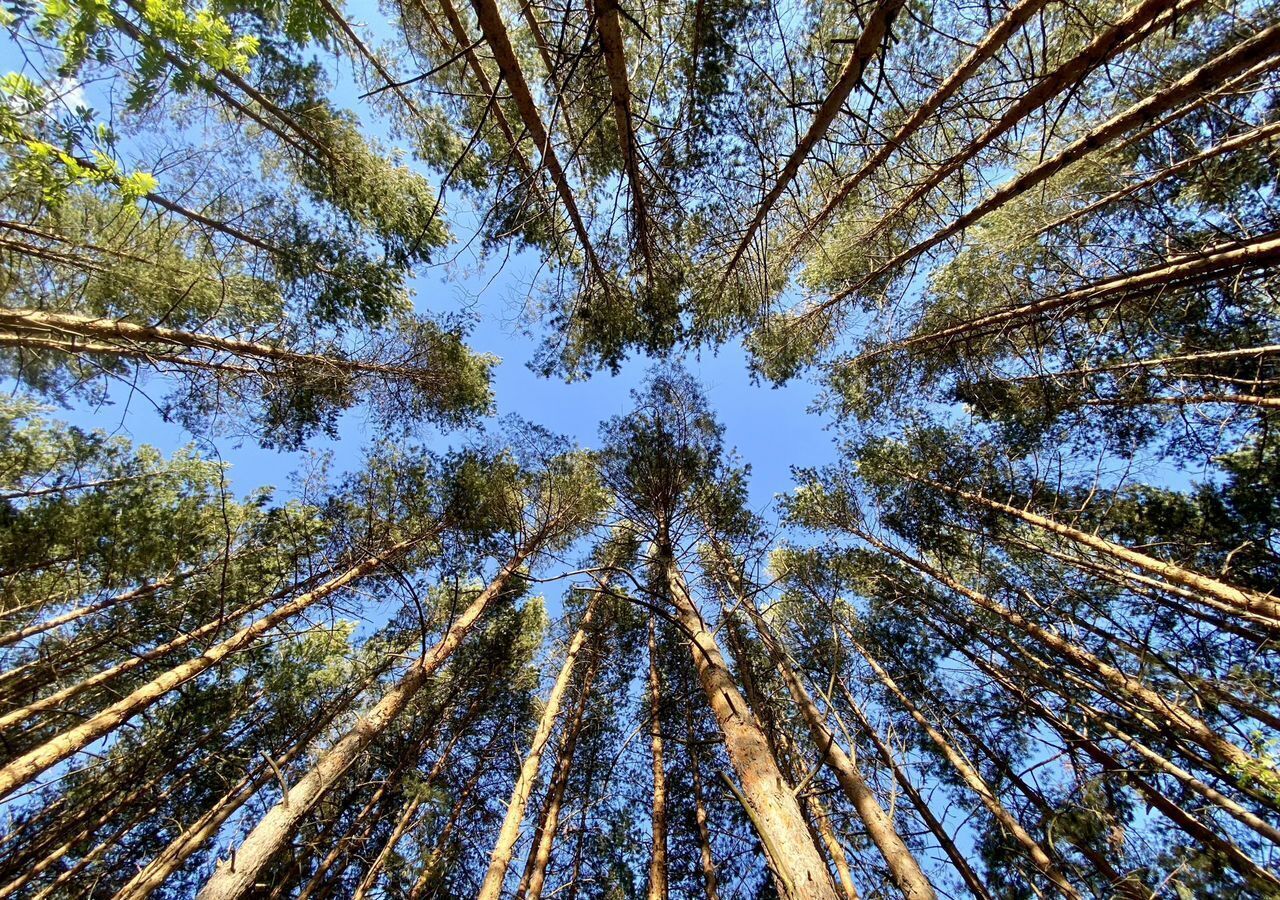 земля г Арзамас ул Зелёная с. Каменка фото 14