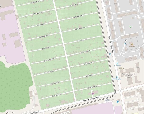 снт Строитель 13-й квартал фото