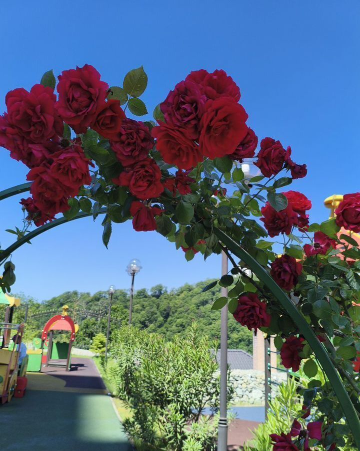 квартира г Сочи р-н Хостинский ул Ясногорская 16/6к 1 мкр-н Бытха фото 1