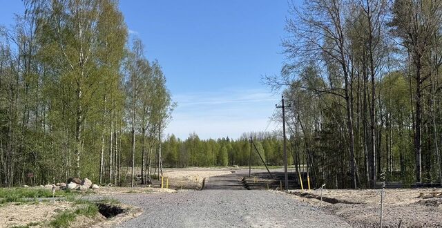 Выборгское шоссе, 28 км, Рощинское городское поселение, городской пос. Рощино фото