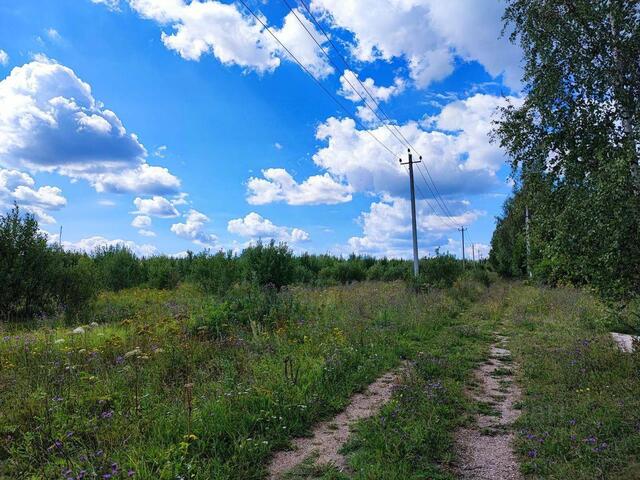 Нижневасильевское шоссе, городской округ Истра фото