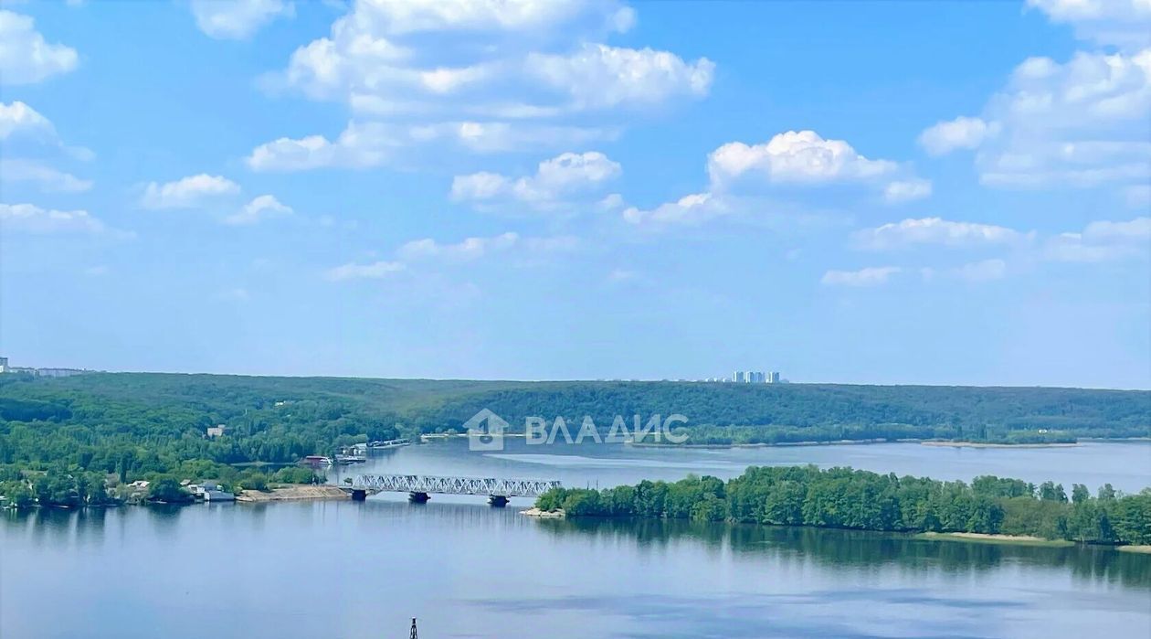 квартира г Воронеж р-н Железнодорожный ул Артамонова 34ж фото 4