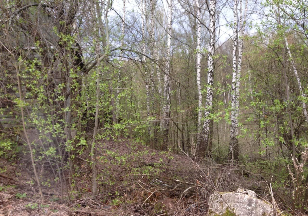 земля г Тула п Горелки снт Березка р-н Привокзальный фото 7