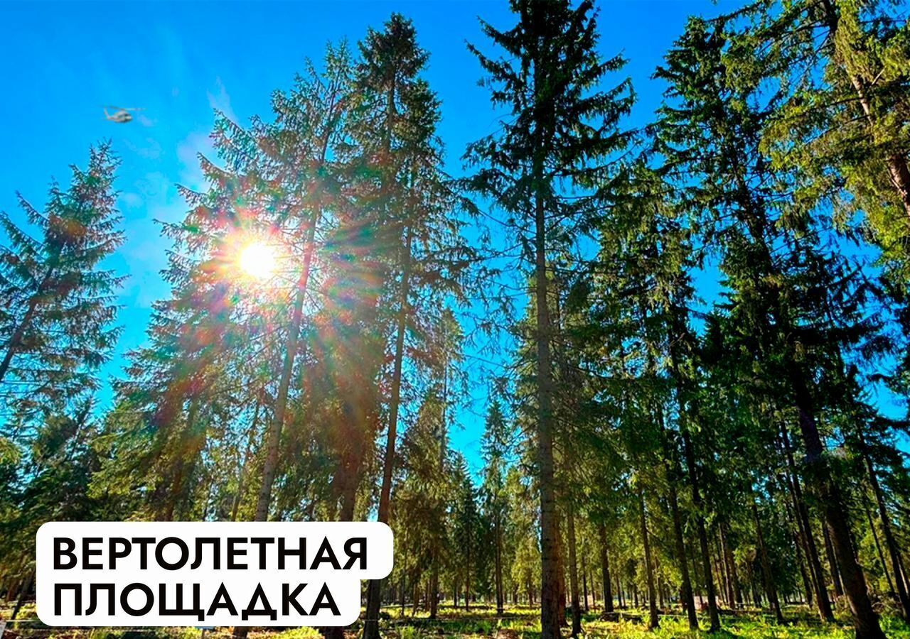 земля г Клин 54 км, эко-посёлок Ели эстейт, Новопетровское, Ленинградское шоссе фото 39