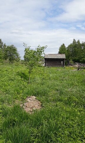 земля 78К-0004 фото