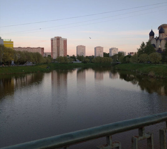 метро Проспект Ветеранов ул Козлова 19к/2 фото