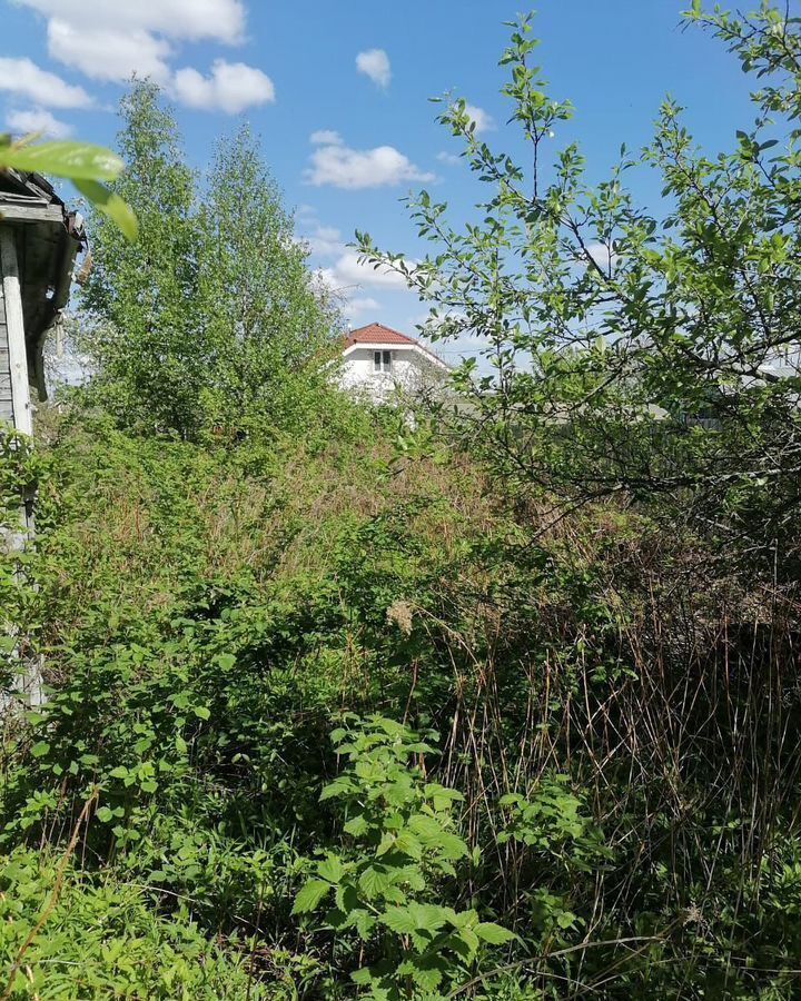 земля г Дубна снт Репка 99 км, 15/3, Дмитровское шоссе фото 2