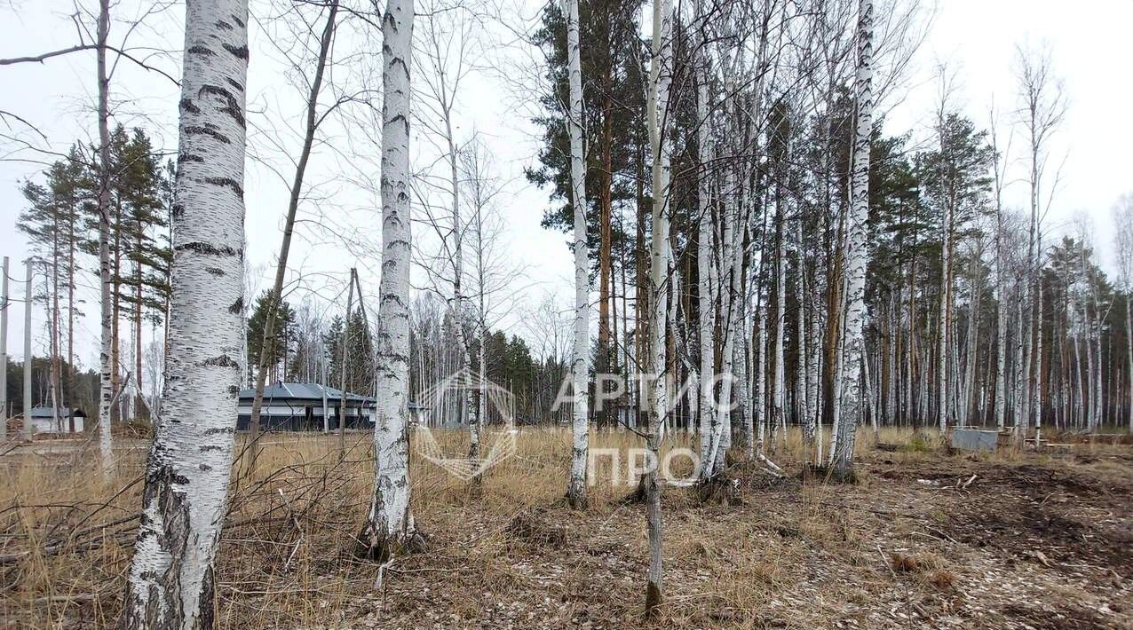 земля г Полевской с Курганово ул Еловая фото 6